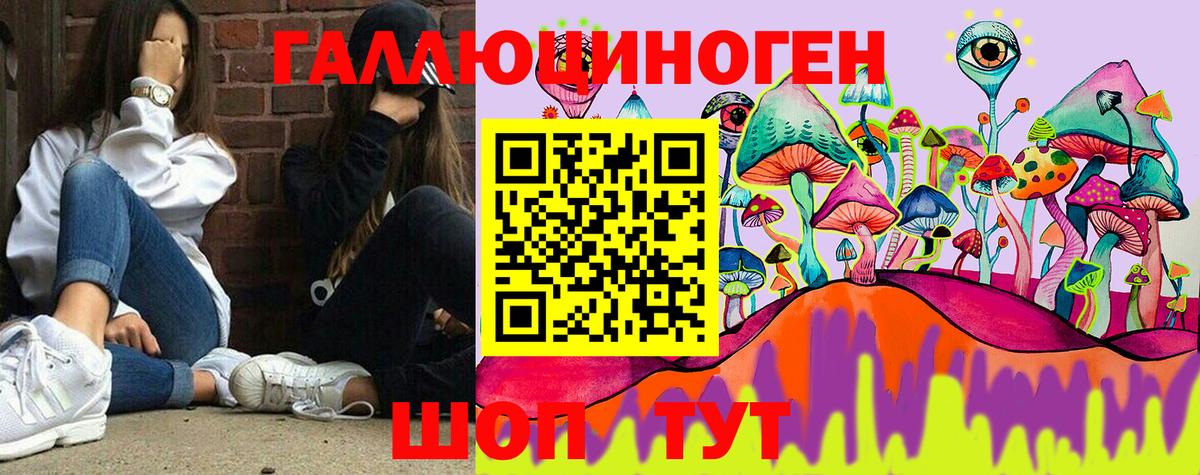 Псилоцибиновые грибы GOLDEN TEACHER  цена наркотик  Псилоцибиновые грибы Magic Shrooms  Череповец  Вход с VPN 