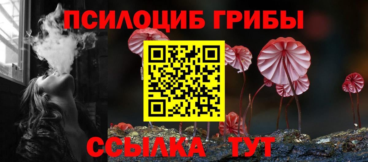 Галлюциногенные грибы GOLDEN TEACHER Череповец